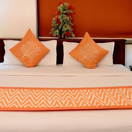 Shree Mohan Home Stay- A Heritage Home Jodhpur  Exterior foto